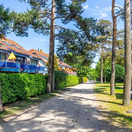 Апартаменты Papillon 7-6 